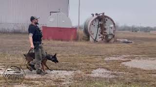 Less Lethal and K9’s