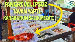 1.75 KG LİPSOZ VE FANGRİ TAVAN YAPTI.09.05.2024 CANLI YAYIN