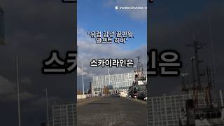 여행자만 아는 델프트 하버의 숨겨진 매력 대공개! 🚤 네덜란드 감성 스팟의 끝판왕#델프트하버 #네덜란드여행 #숨겨진명소 #감성여행지 #유럽감성 #힐링스팟 #현지인추천 #여행브이로그
