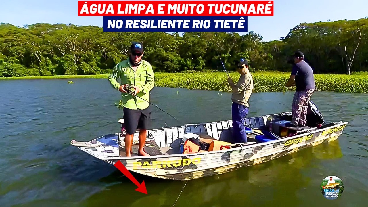 RIO TIETÊ! POLUÍDO? QUEM DISSE QUE NÃO TEM TUCUNARÉ E ÁGUA LIMPA