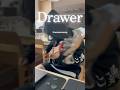 Summercamp #베이스 #베이스커버 #basscover #shorts "Drawer"
