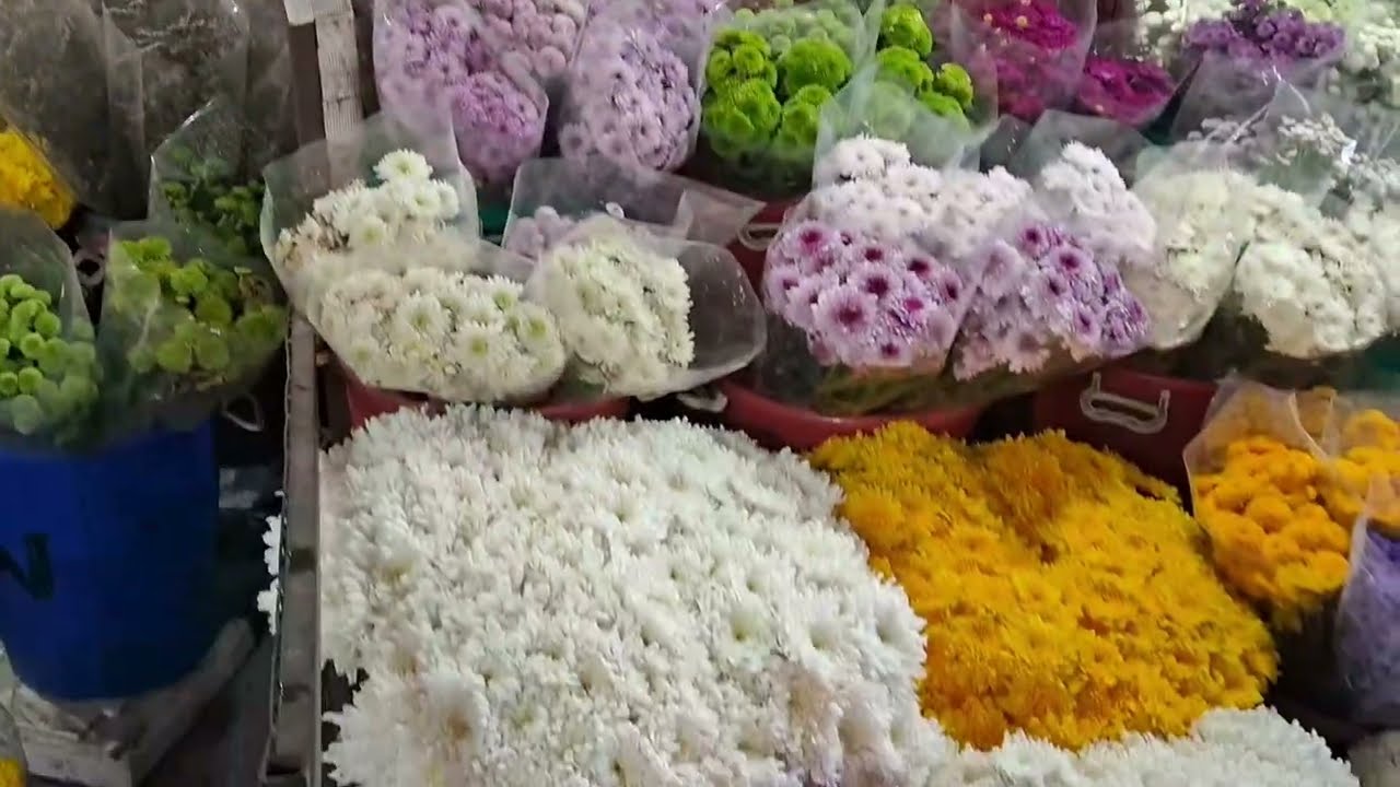 Flower Market I Phool Mandi 