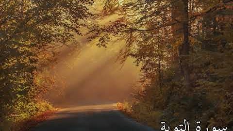 سورة التوبة بصوت جميل و خاشع