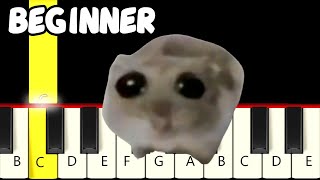 Sad Hamster Violin Meme  - Fast and Slow (Easy) Piano Tutorial - Beginner