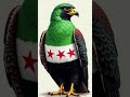 سوريا حره حره ارفع راسك فوق انت سوري حر حر حر نجومي