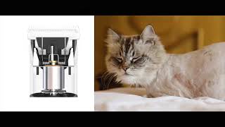 oneisall Cat Clippers for Matted Hair, Quiet Cat Shaver for Long Hair for Cats Small Dogs Animals by Oneisall Official 143 views 5 months ago 22 seconds