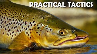 Big Brown Trout: RealLife Cloudy Day Trout Stream SightFishing Tips & Tactics. Part 1