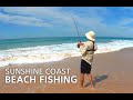 Mixed Bag of Tailor, Bream & Dart  - Surf Beach Fishing At Kawana Waters, Sunshine Coast