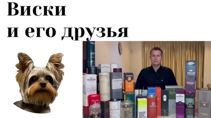 Машина әйелді ұрады Қырылған азиялық әйелдің суреті