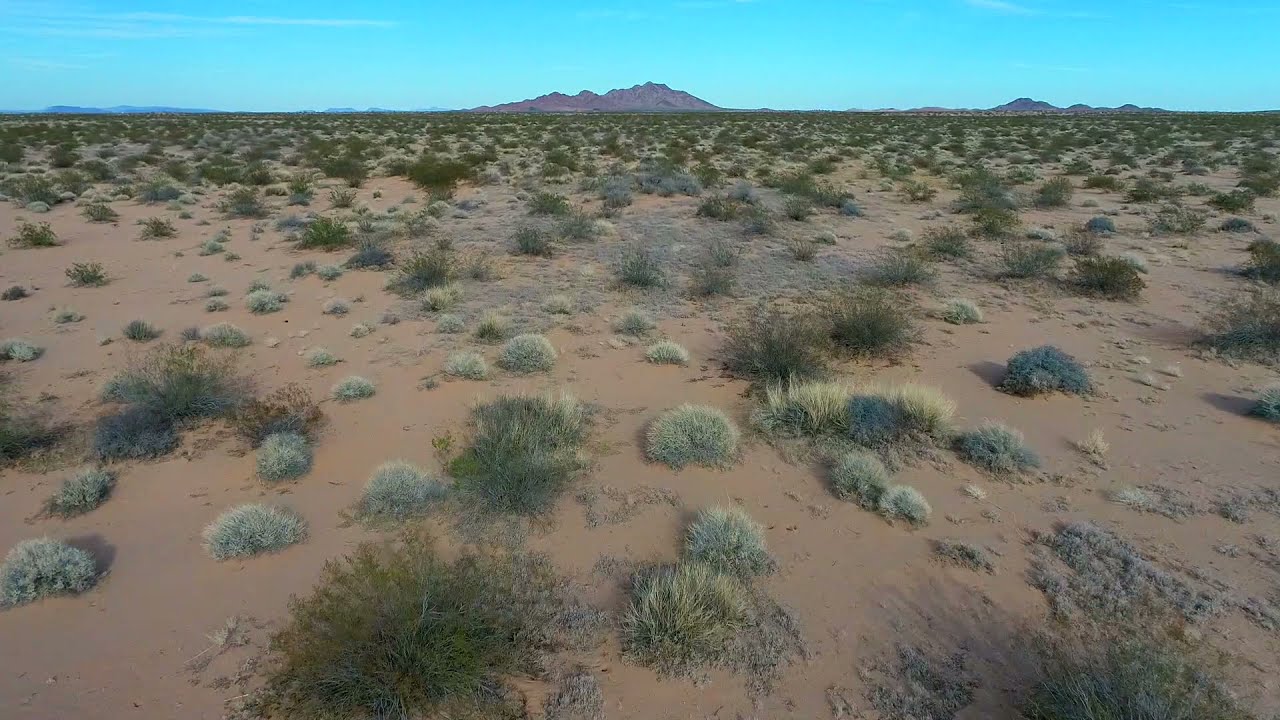 10 Acres in Dateland, Arizona 85333