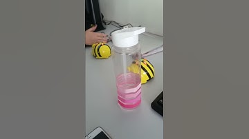 Bee Bots Programming