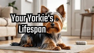 The Lifespan of Yorkshire Terriers: A Comprehensive Guide