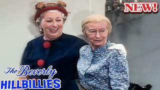 The Beverly Hillbillies 2025 🎯️🎯 SS15 - EP 21 🎯️🎯 Hot Sitcom TV Series 2025 Full Episodes