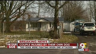 Brown Co. couple hospitalized after being attacked by own dog