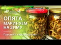 Маринованные опята | Заготовки на зиму | Опята | Приготовление грибов | Простые и вкусные рецепты