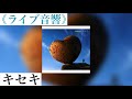 《ライブ音響》キセキ -GReeeeN-  MV付き   ☆概要欄に歌詞あり