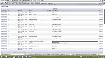 Demo Scenario #4 Tomcat Service Restart Request Rev1