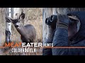 MeatEater Hunts Ep. 2: Colorado Elk With MeatEater Producer Janis Putelis