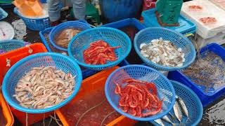 台灣街頭小吃 - 大溪漁港 - 魚獲很多 Taiwanese street food-Daxi Fishing Port-a lot of fish