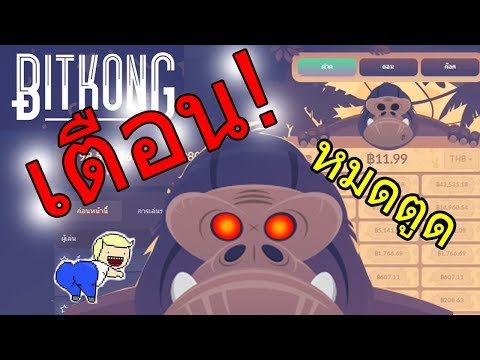 เตือน! คนที่อยากเล่นเว็บ Bitkong หมดตูด