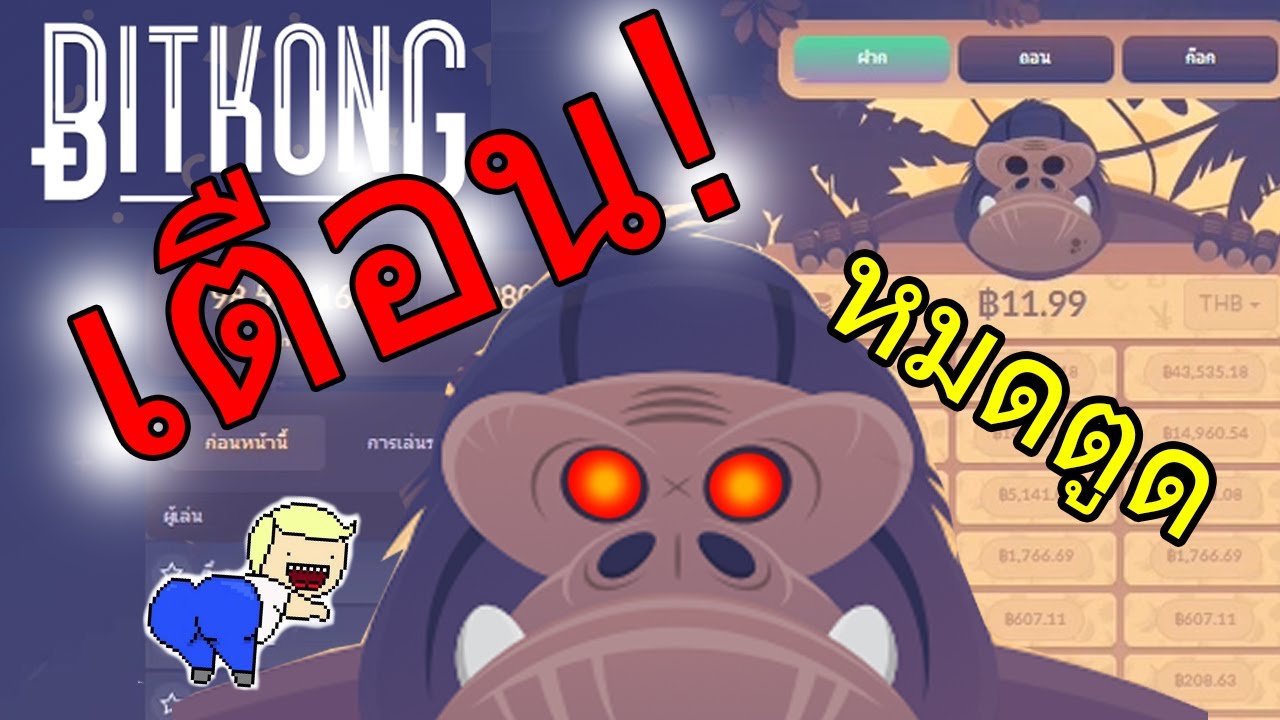 Bitkong Bitkong