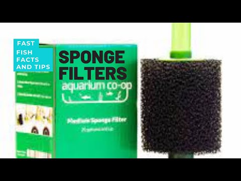 FFFT: Sponge Filters