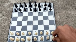 शतरंज कैसे खेले आइये सीखें//How To Play chess screenshot 2