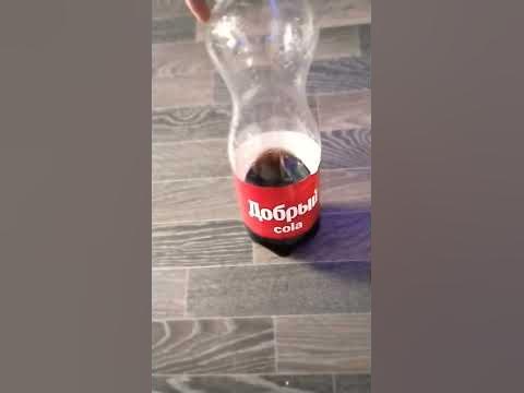 кола черноголовка добрая - YouTube