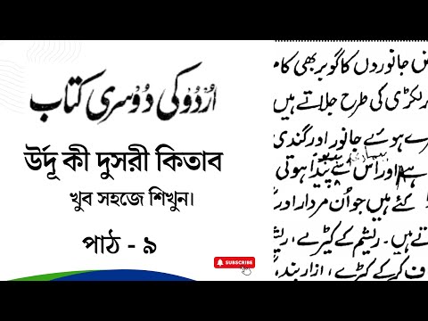 Mushuk pornosini tomosha qiling Ayollar zonasi haqida porno filmlar