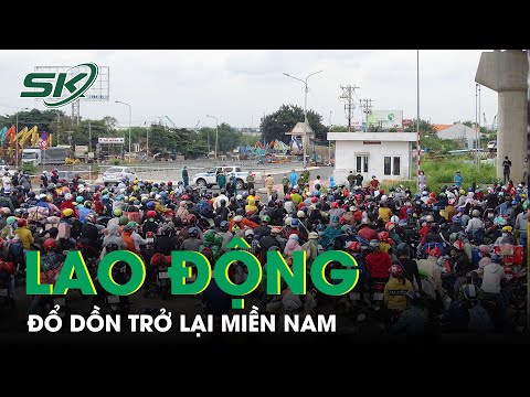 Video: Các Biện Pháp Dân Gian Kiểm Soát Dịch Hại