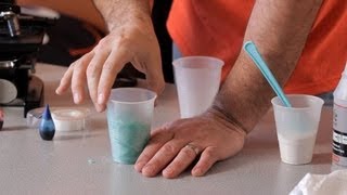 How to Make Water Disappear | Science Projects