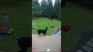 Download Lagu Phillies land All-Star closer Jhoan Duran ahead of MLB trade deadline 👀🔥 MP3