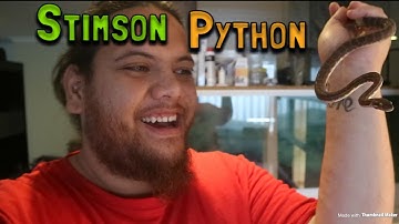 Best first snake (Australia)