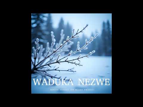 Waduka Nezwe (Ft Blakk Prince) - BlackPitBullz