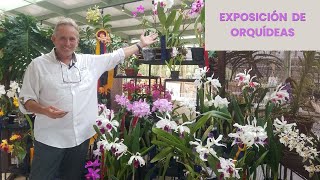 Exposición de orquídeas Alma del Bosque - Casa Flora