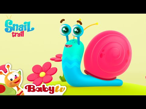 Snail Trail | Nursery Rhymes & Songs for kids | BabyTV