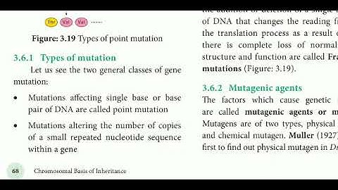12 std Bio Botany ln-3 Chromosomal basis of inheritance (Types of mutation)