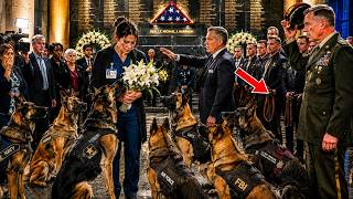 The Nurse Was Asked to Exit the Memorial — Then 7 K9 Dogs Broke Formation To Stop Her