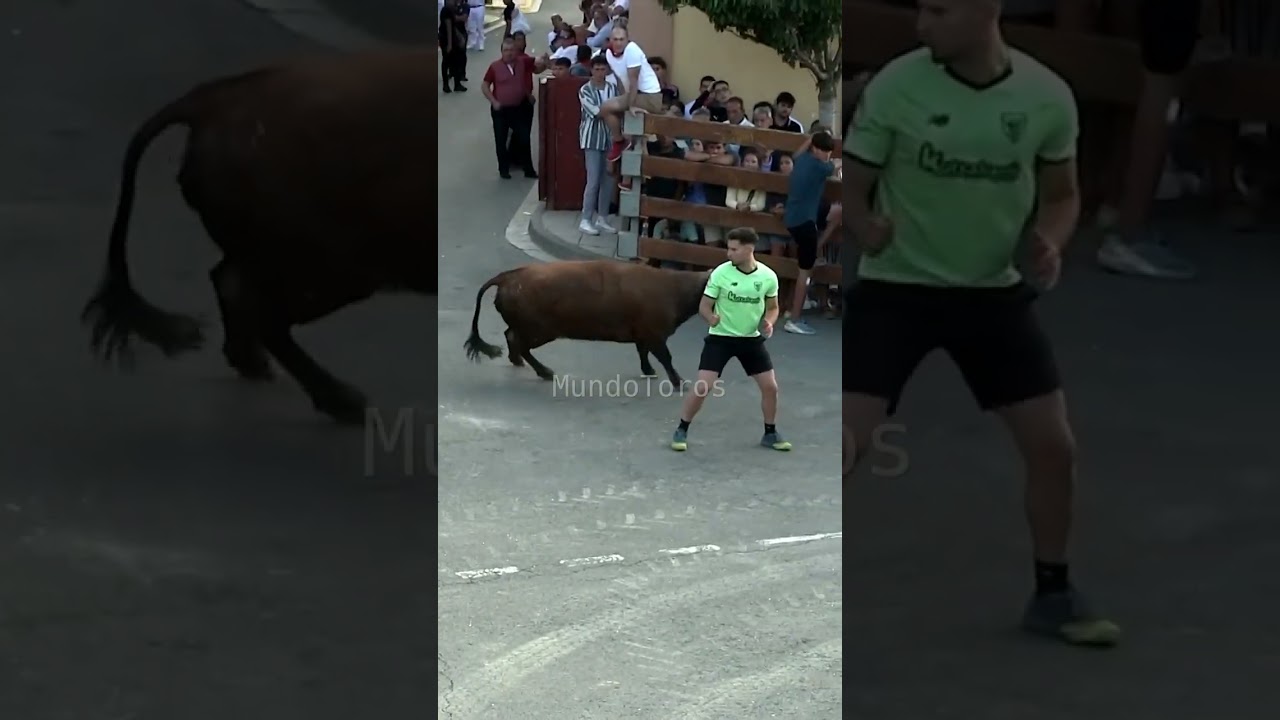 ¡El TORO se le planta DELANTE! 😱 | Ribaforada