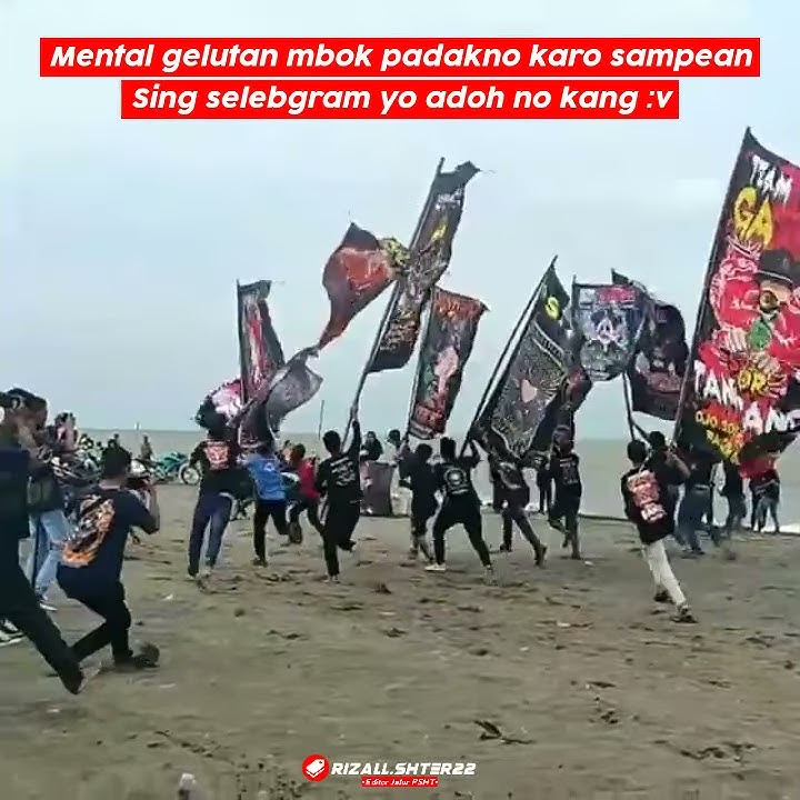 STORY WA PUNKSHTER KEREN | STORY WA 30 DETIK | QUOTES PSHT | LITERASI PSHT