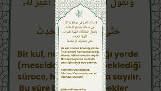 Meleklerin Duası Allah’ım, Ona Merhamet Et 🤍 Resimi