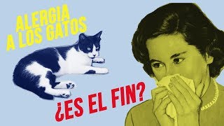 Que la ALERGIA no te separe de tu GATO | ¡Acaba con los síntomas!