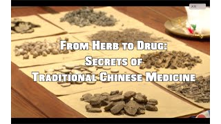 From Herb To Drug Secrets Of Traditional Chinese Medicine