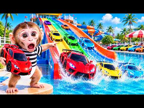 BonBon the monkey races colorful cars on a giant water slide