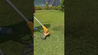 🌱 Grass Cutting Machine ka zabardast kaam! Ekdum clean finish 😲 #shorts