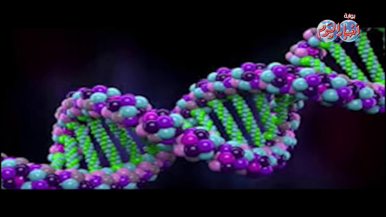 أخبار اليوم | pku مرض نادر يهدد حياة ألاف الأطفال في مصر والعالم