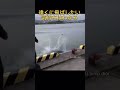 遠くに飛ばしたい気持ちはわかるけどwwwww、 #おもしろ動画 #海 #海外