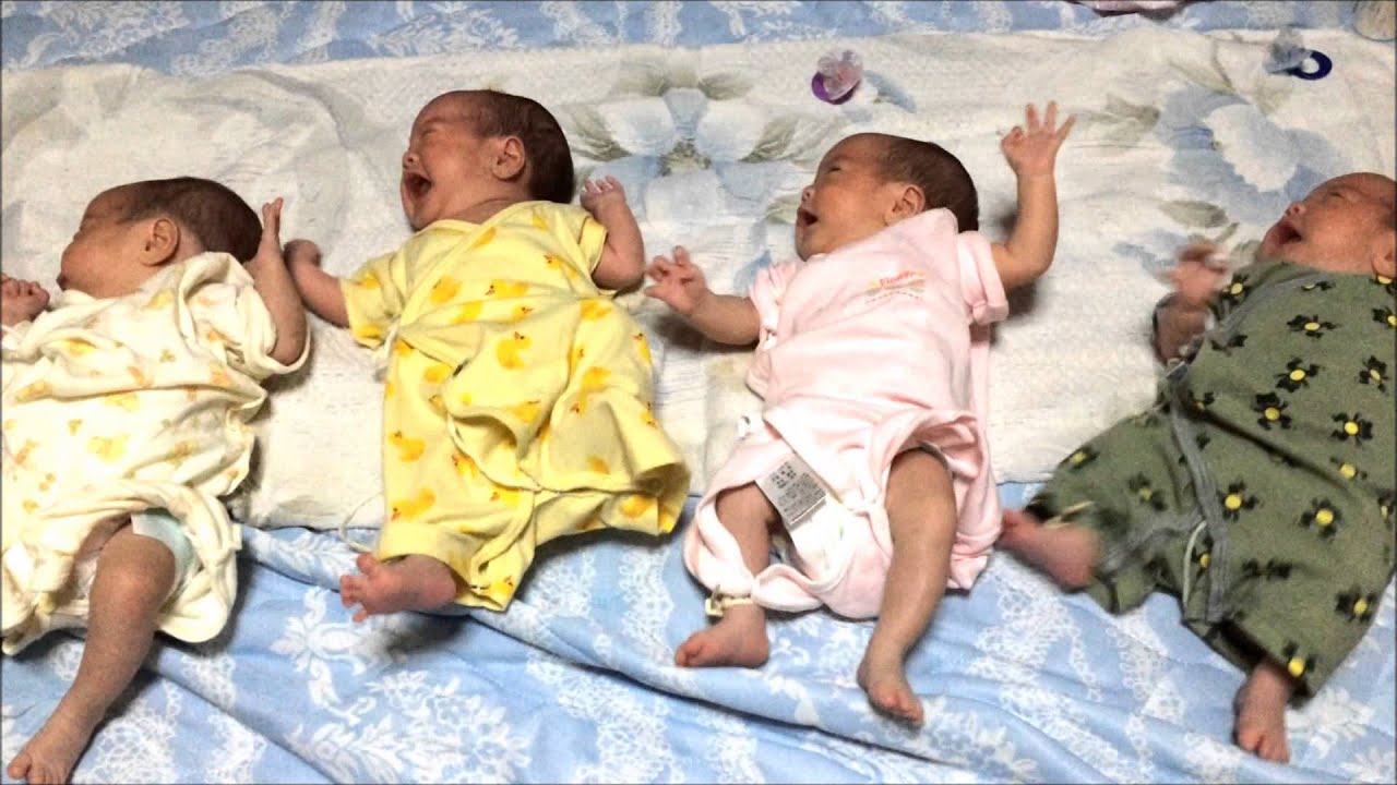 我が家のよつごの赤ちゃん 大合唱 Youtube 我が家のよつごの赤ちゃん 大合唱 Youtube