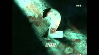Bbc2 Ident Preceding Newsnight 1997
