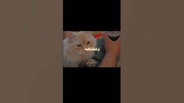 نصف ثانيه من سوره الكهف✨🤍 #سورة_الكهف #صلي_على_النبي #قرآن_كريم #الرحمن #ارح_قلبك